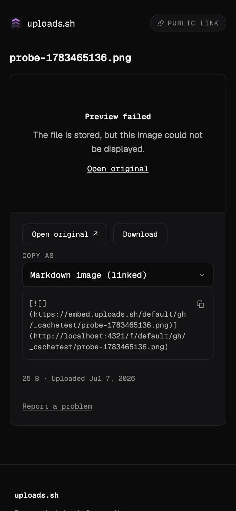 localhost-f-default-gh-_cachetest-probe-1783465136.png-error.webp